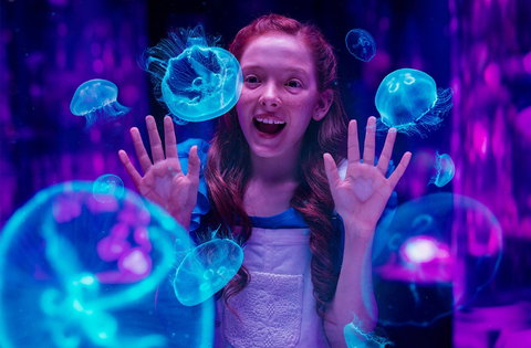 Australia's Sea World - Brisbane Tourism 0