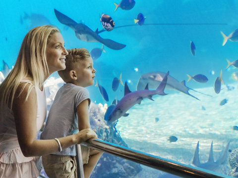 Australia's Sea World - Brisbane Tourism 2