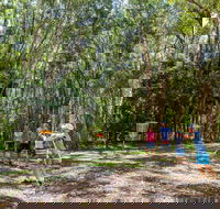 Ballina Disc Golf - Tourism Brisbane