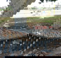 Barcaldine Musical Instruments - Tourism Brisbane