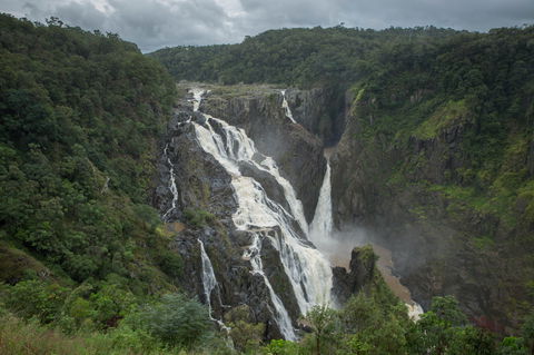 Barron Falls Lookout Track, Barron Gorge National Park - Tourism Brisbane 0