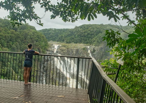 Barron Falls Lookout Track, Barron Gorge National Park - Tourism Brisbane 1