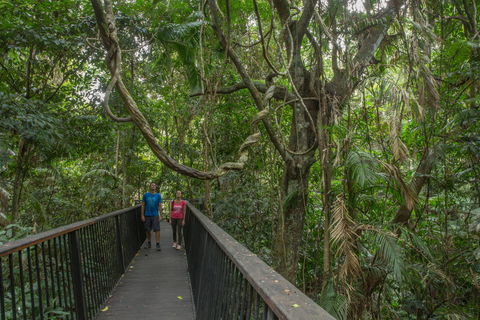 Barron Falls Lookout Track, Barron Gorge National Park - Tourism Brisbane 2