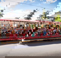 Bendigo Tramways Vintage Talking Tram - Tourism Brisbane