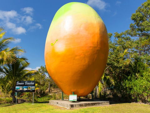 Big Mango - Brisbane Tourism 0