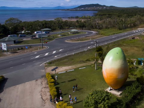 Big Mango - Brisbane Tourism 1