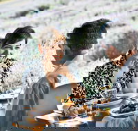 Boonah - Tourism Brisbane