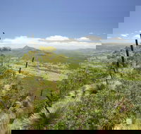 Border Ranges National Park - Brisbane Tourism