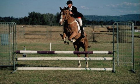 Camden Bicentennial Equestrian Park - Tourism Brisbane 0