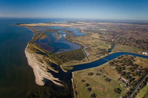 Cheetham Wetlands - Tourism Brisbane 0