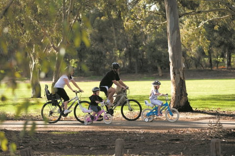 Coast To Vines Rail Trail - Tourism Brisbane 1
