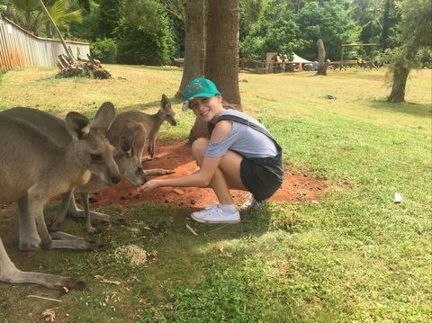 Cooberrie Park Wildlife Sanctuary - Brisbane Tourism 1