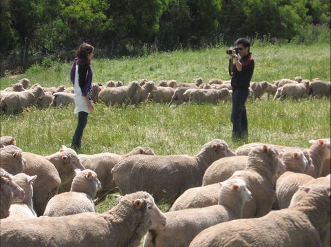 Curringa Farm - Accommodation And Farm Tours - Tourism Brisbane 1