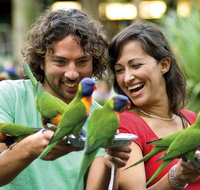Currumbin Wildlife Sanctuary - Tourism Brisbane