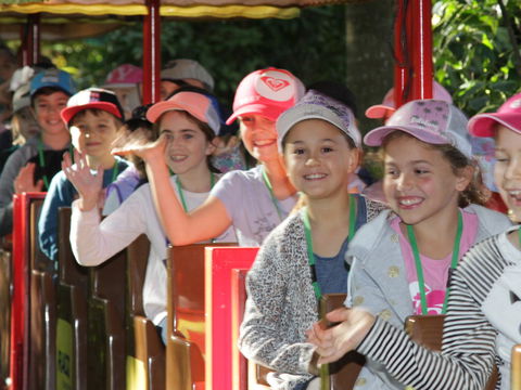 Currumbin Wildlife Sanctuary - Tourism Brisbane 1