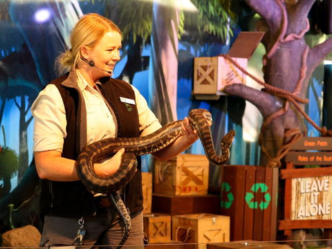 Currumbin Wildlife Sanctuary - Tourism Brisbane 2