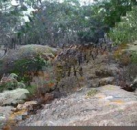 Dergholm State Park - Tourism Brisbane