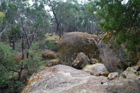 Dergholm State Park - Brisbane Tourism 0