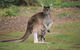 Donnelly River - thumb 0
