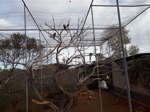 Eyre Reptile & Wildlife Park - Tourism Brisbane 2