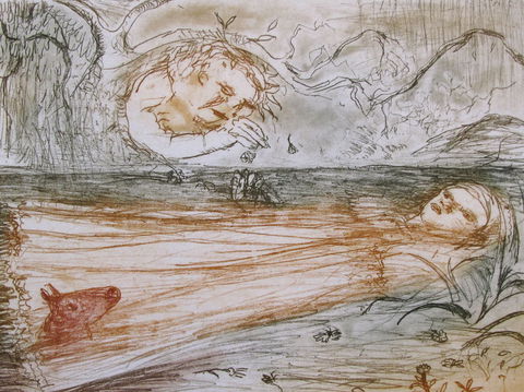 Falls Gallery - Tourism Brisbane 0