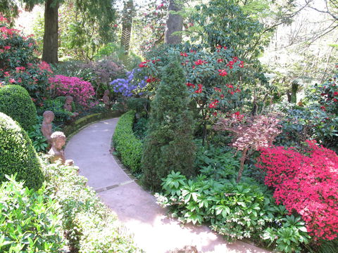 Falls Gallery - Tourism Brisbane 1