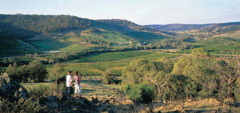 Farm Flavour Trail, Chittering Valley - Tourism Brisbane 0
