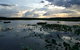 Fogg Dam Conservation Reserve - thumb 1