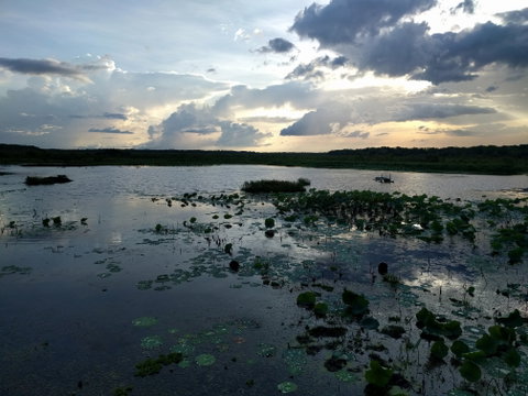 Fogg Dam Conservation Reserve - Tourism Brisbane 1