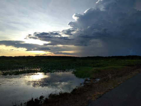 Fogg Dam Conservation Reserve - Tourism Brisbane 2