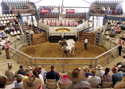 Gracemere Exhibition Complex - Tourism Brisbane 1