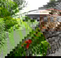 Gully Gardens - Brisbane Tourism