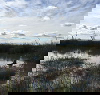 Gwydir Wetlands Moree - Brisbane 4u