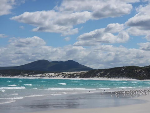 Hakea Walk Trail, East Fitzgerald National Park - Tourism Brisbane 0