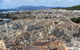 Hakea Walk Trail, East Fitzgerald National Park - thumb 1