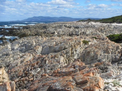 Hakea Walk Trail, East Fitzgerald National Park - Tourism Brisbane 1