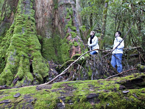 Hastings Caves And Thermal Springs - Tourism Brisbane 2
