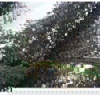 Henty Government Dam Nature Reserve - Tourism Brisbane