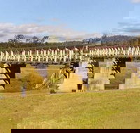 Historic Tabulam DeBurgh Timber Bridge - Tourism Brisbane