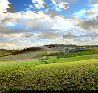 Hodgson Vale - Tourism Brisbane