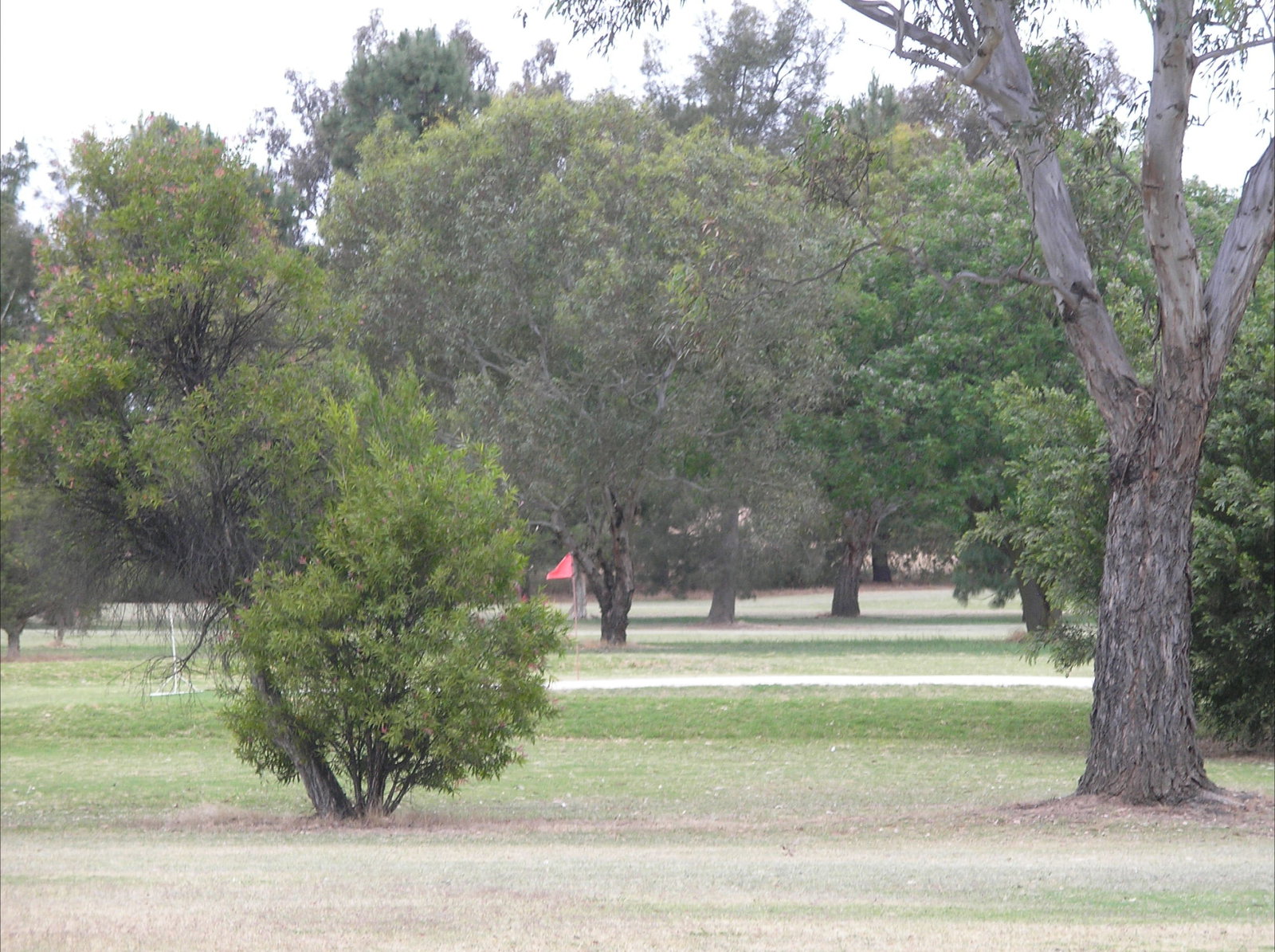 Bowna NSW Tourism Brisbane