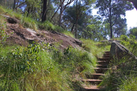 Ingleburn Reserve - Tourism Brisbane 2