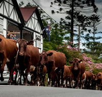 Jamberoo - Tourism Brisbane