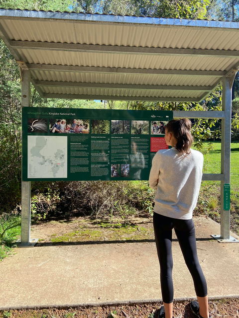Jehosaphat Gully Picnic Area - Brisbane Tourism 0