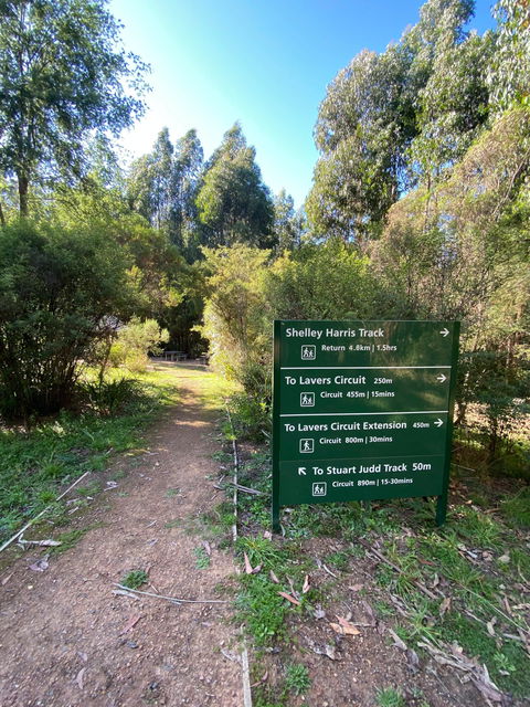 Jehosaphat Gully Picnic Area - Brisbane Tourism 2