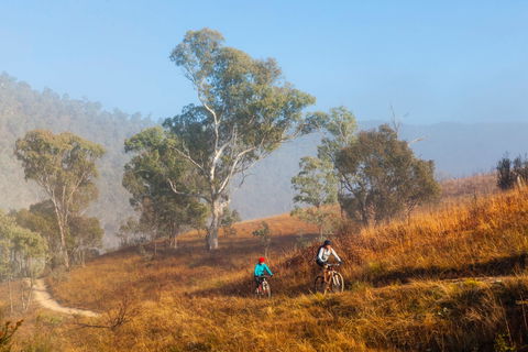 Kambah Pool To Pine Island Walking Trail - Tourism Brisbane 0