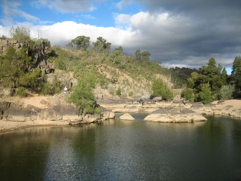 Kambah Pool To Pine Island Walking Trail - Tourism Brisbane 2