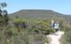 Lesueur Walk Trail, Mount Lesueur - thumb 0