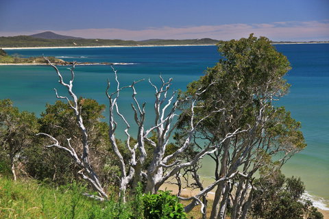 Minnie Water - Tourism Brisbane 2