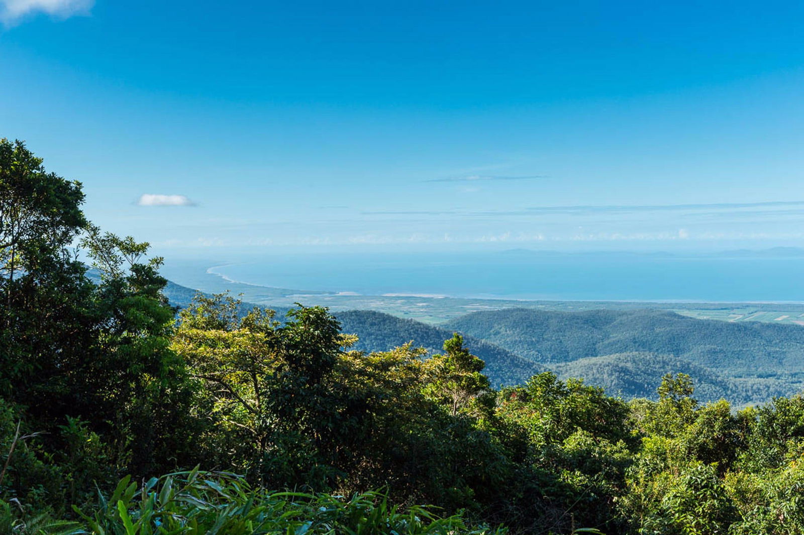 Macknade QLD Tourism Brisbane